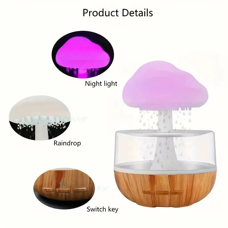 Rain cloud humidifier